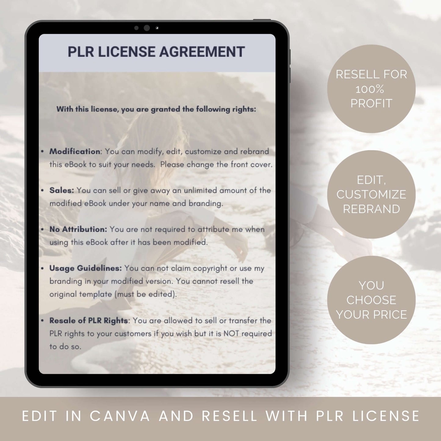 Faceless Brand Strategy Guide for Entrepreneurs – PLR